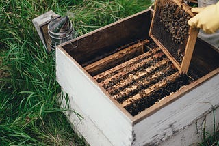 Sticky investigations on honey