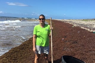 Sargassum Seaweed Might Not Be a Problem But a Solution