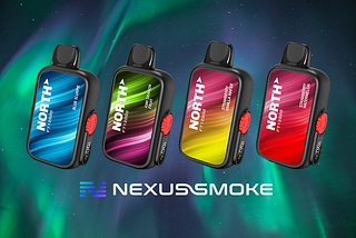 North FT12000 Rechargeable Disposable Vape 5% Nicotine
