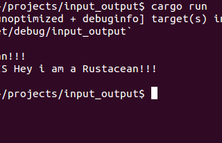 8. SAMPLE PROGRAM IN RUST TO GET AND PRINT THE VALUE