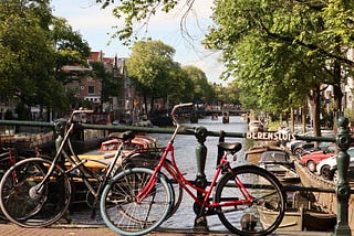 荷蘭求職不再要求荷蘭文？！從英文論戰，看懂為什麼荷蘭人英文這麼好