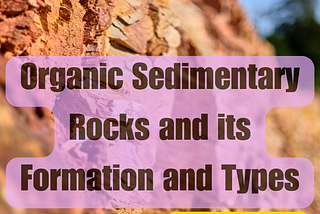 Organic Sedimentary Rocks and its Formation and Types