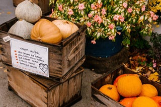 Autumn Activities in Boise