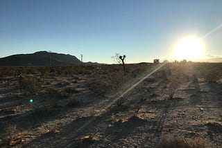 Building a Joshua Tree House Part I