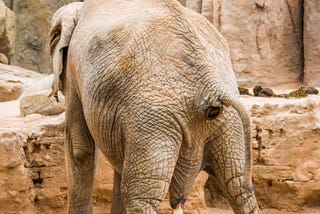 Black, White, Wrong, Right, Allegedly We're All Protected By Our Amendment Rights