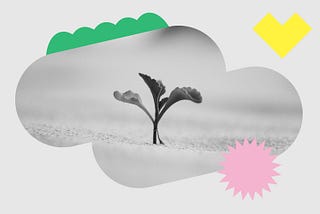 My internship at New Design Studio and what I learned