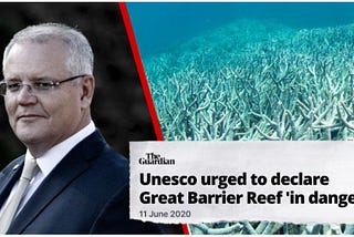 Sports Rorts, Car Park Rorts, now a Reef Rort?