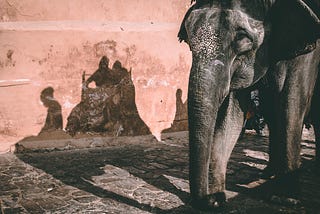 Can Thai Elephant Sanctuaries Truly Be Ethical?