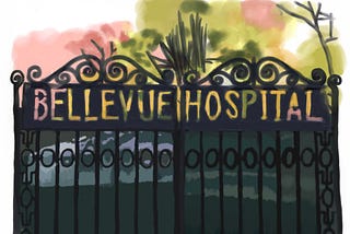 4. Bellevue Psychiatric Hospital