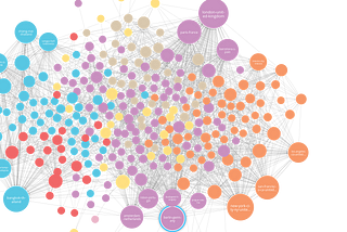 Analyzing travel logs of digital nomads with Neo4j Graph Data Science