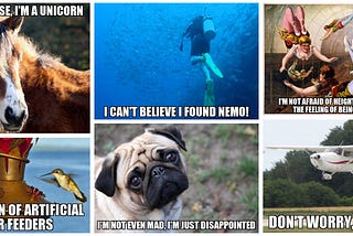 AI-Memer: Using Machine Learning to Create Funny Memes