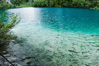 Turquoise, Plitvice Lake, Croatia