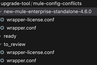 Upgrade Mule 4.3 to Mule 4.6 and Java 11