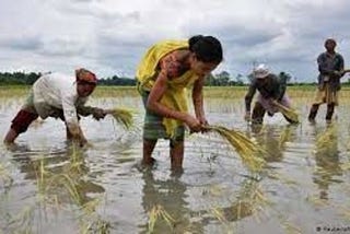 Monsoon in India and its effect on agriculture!