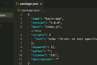 What is Package.json?