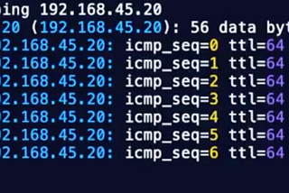Why ping latencies are different