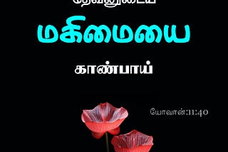 **தமிழ் வேதாகமம்: ஒரு ஆன்மீகப் பயணம்**