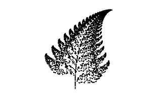 The Art Of Computer And Mathematics: Barnsley Fern