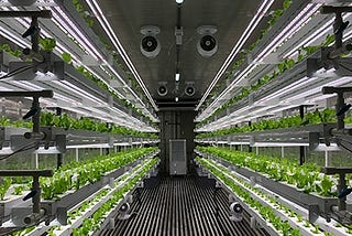 Vertical Farming — the next big conquest for IoT: