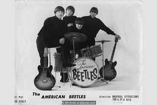 The American Beetles