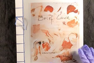 Snapshot from video, cover of Brief Love: artwork of swirling leaves with title and author.