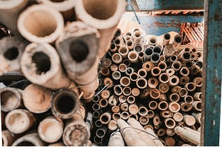 Bamboo Skeletons