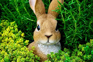 .NET Core and RabbitMQ Part 2 — Communication via AMQP