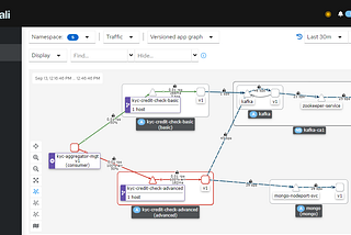 Traffic Flows -  Integrated View w/ Realtime Metrics