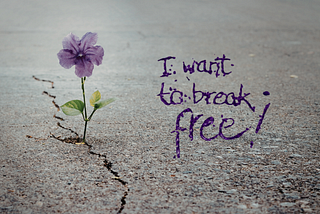 A delicate purple flower growing through concrete with the words “I want to break free!”
