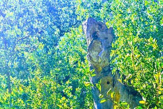 Dead tree trunk amid lush foliage and blue light