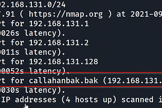 Vulnhub Writeup-Tommy Boy: 1