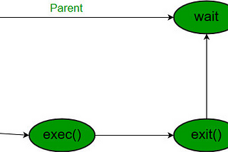 How does a shell terminal process a command?