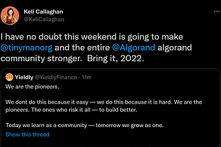 How the Tinyman Exploit can Strengthen Algorand