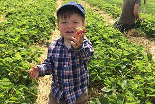 On The Road: Small Farms in America