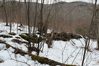 The Mountain Hollow Stone Row