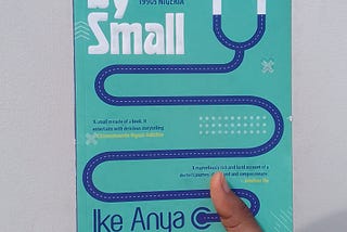 Review of Small by Small
