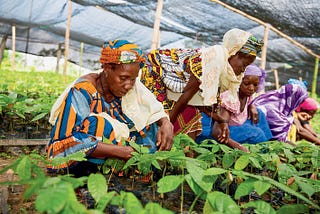 Eliminate legal discrimination against women to advance food security and nutrition