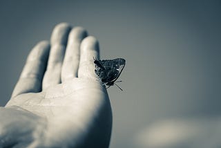 BE A BUTTERFLY- A Life Changing Program