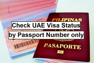 Check Dubai Visa Status Online by Passport Details