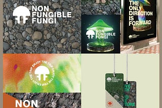 Non Fungible Fungi 2022 recap