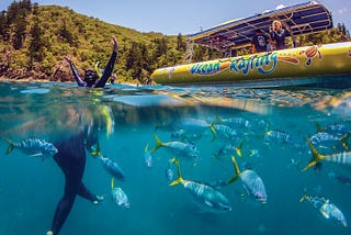 Sailing the Whitsundays: A Journey Beyond Expectations