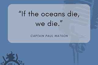 New Episode: Interference with Captain Paul Watson