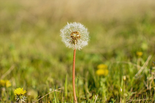 Lessons learned in SaaS startups: Chapter 7. Churn kills.