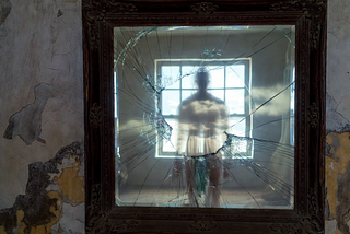 The Mirror Disguised as a Window