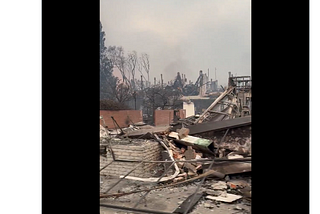 Los Angeles Burns. Trump and MAGA Politicize