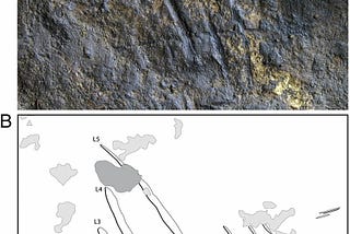 Neanderthal decorations