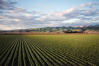 Agtech look ahead for 2023