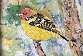 Western Tanager | Adrik