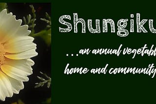Shungiku