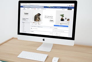 A desktop computer screen showing the facebook page of a cat